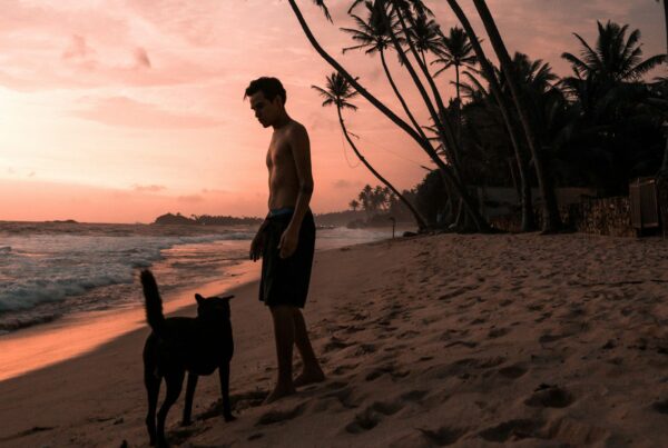Sri Lanka in Luxury
