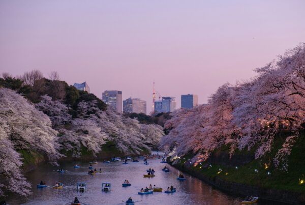 Japan Traveller